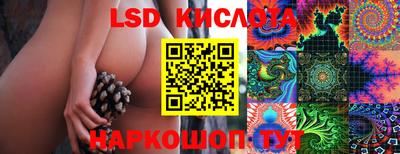 амф Ярославль